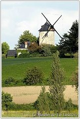 DSC3549